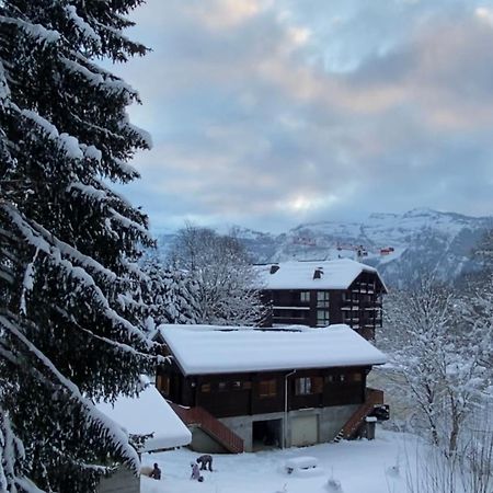 Loge Des Reveurs Apartment Les Carroz d'Araches Exterior foto